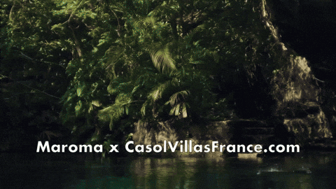 Beach Mexico GIF by Casol