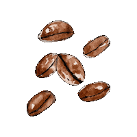 Coffee Shop Sticker by Vindagua
