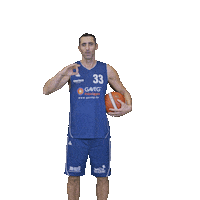 Bensheim Sticker by VfL Basketball