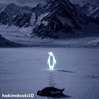 Penguin Trending GIF