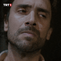 Angry Sinirli GIF by TRT