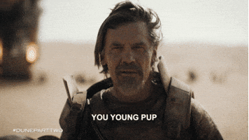 Timothee Chalamet Love GIF by Warner Bros. Deutschland