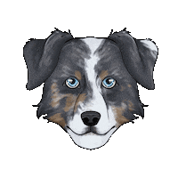 Dog Chien Sticker