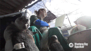 african penguin GIF by Monterey Bay Aquarium