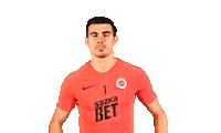 football applause Sticker by 1. fotbalová liga