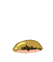 Fujiikaze Sticker
