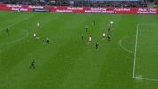 jhon cordoba soccer GIF by 1. FC Köln