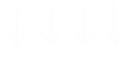 Arrow Point Sticker