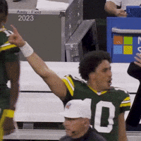 Green Bay Packers GIF