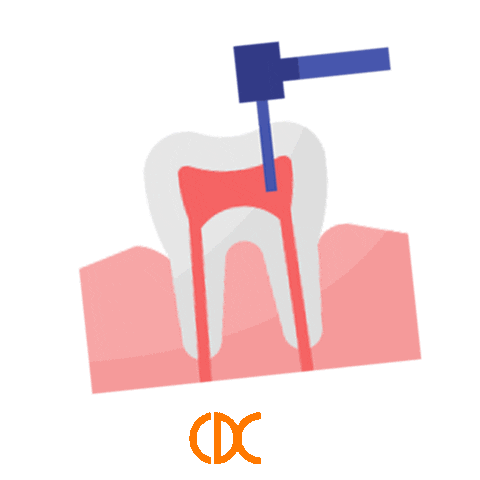 Charlestown-Dental-Centre giphyupload smile smiling teeth Sticker