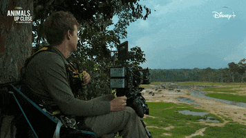 Nat Geo Wow GIF by National Geographic Channel
