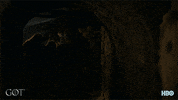 arya stark hbo GIF by Game of Thrones