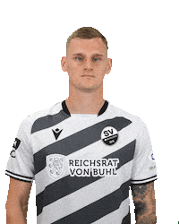 3Liga Sticker by SV Sandhausen