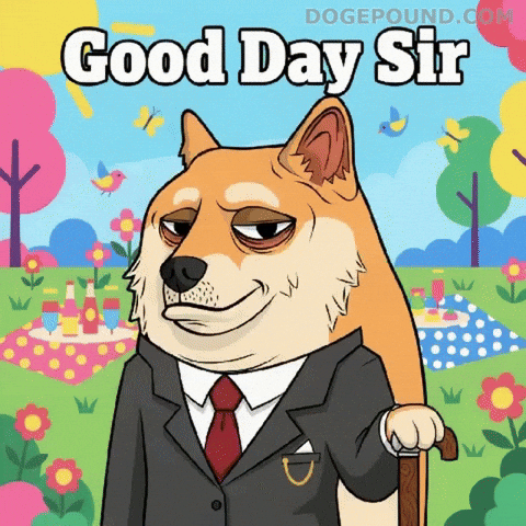 Good Morning Hello GIF by Doge Pound
