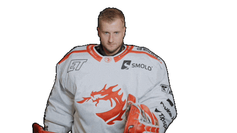 Trinec Sticker by HC Oceláři Třinec