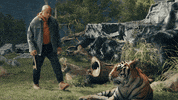 College Basketball Pet GIF by Capital One