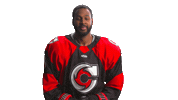 Hockey Echl Sticker by Cincinnati Cyclones