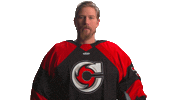 Hockey Echl Sticker by Cincinnati Cyclones