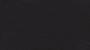 GIF by Halo
