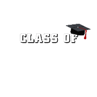 raven classof2019 Sticker by Benedictine College