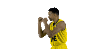 Ewe Baskets Basketball Sticker by EWE Baskets Oldenburg
