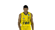 Ewe Baskets Basketball Sticker by EWE Baskets Oldenburg