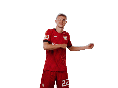 Celebrate Bayer 04 Sticker by Bayer 04 Leverkusen