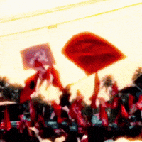 Red Flag India GIF