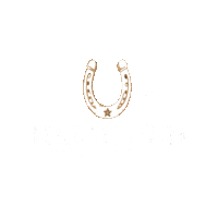 HorseshoeTavern bar horseshoe sportsbar morristown Sticker