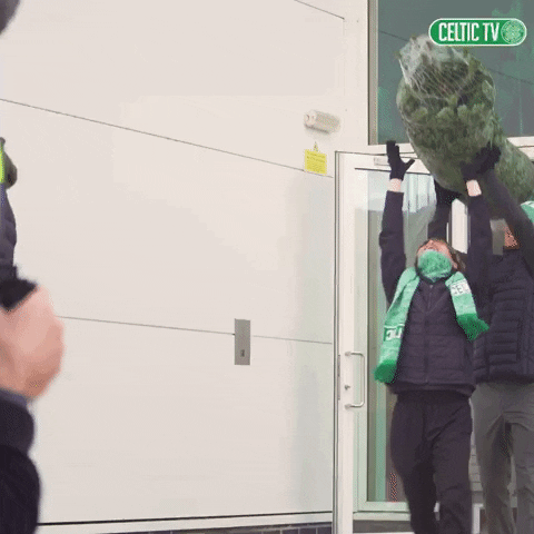 Christmas Tree GIF by Celtic Football Club