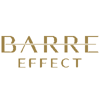 Barre Workout Sticker by Barre Effect