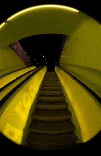 where the neon GIF by hateplow