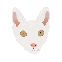 Cat Trico Sticker