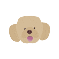 Dog Pet Sticker
