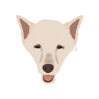 Dog Pet Sticker