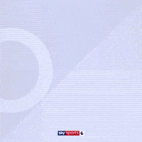 Football Soccer GIF by skysports