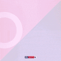 Football Soccer GIF by skysports