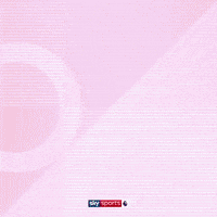 Football Soccer GIF by skysports