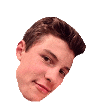 shawn mendes STICKER by imoji