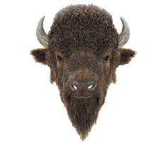 Robots Bison Sticker by Woodblock