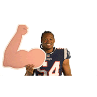 Sport Sports Reaction Sticker by New England Patriots