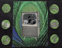 drumming rock band GIF by Epitaph Records