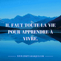 Business Vie GIF by PIMP TA MARQUE