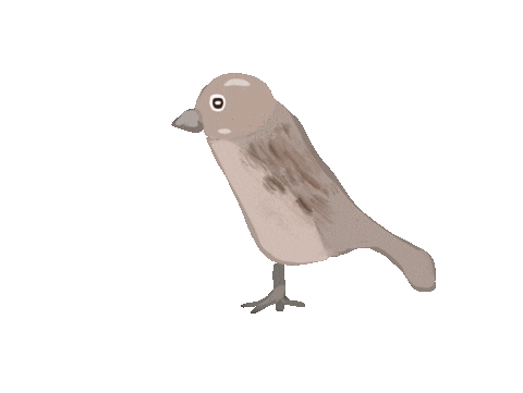 Sparrow Sticker