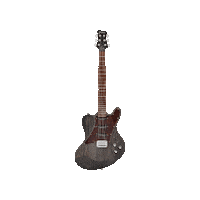 theguitarmaster guitar germany electric guitar the netherlands Sticker