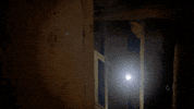 Season 3 Halloween GIF by 9-1-1 on FOX