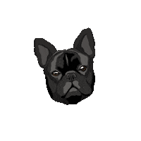 French Pups Sticker by Catie Offerman