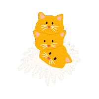 organe_k cat flower flowers strasbourg Sticker