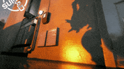Suicide Squad Nom GIF by WBGames