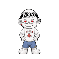 Red Sox Baseball Fan Sticker by Zhot